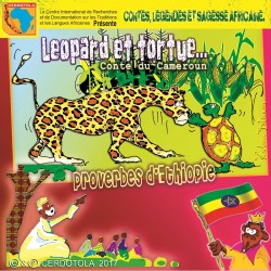 Léopard et tortue